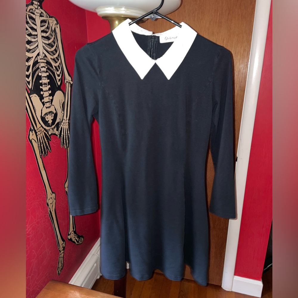 Chic Black Dress with White Collar